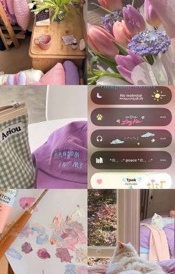 [AllKng] người tình của nắng