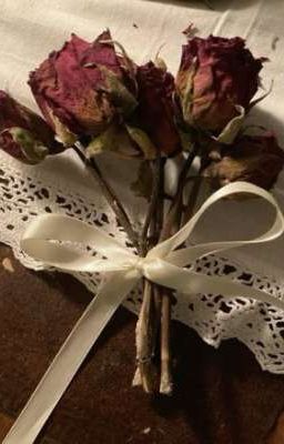 |•AllNamSon•|⭒⟢