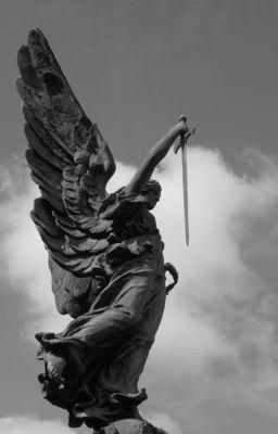 Allnut - Ngày Phán Xét