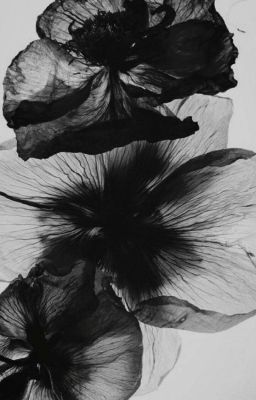 allnut that should be me