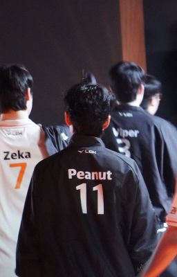 【AllPeanut】Lên giường