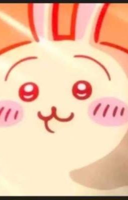 allshin cuộc đời hãy lạc quan như usagi