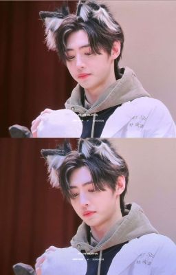 [AllSunghoon/AllHoon] Em bé cánh cụt