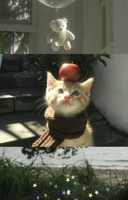 allzeus | collection