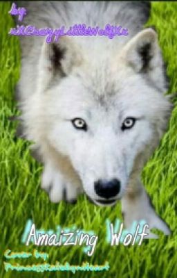 Amaizing Wolf