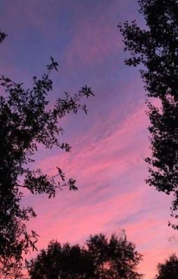 Amethyst || Taekook ||