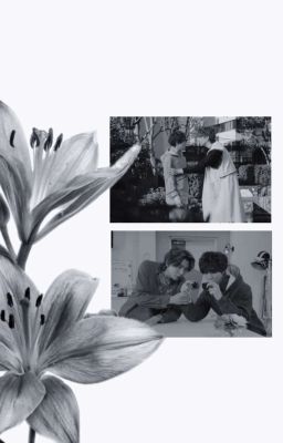 🍮🍬 | ánh dương