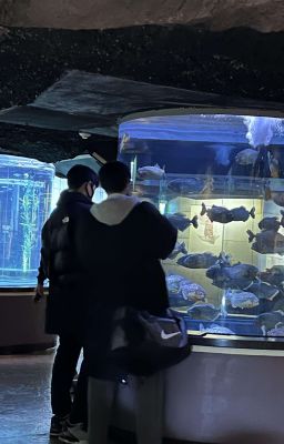 ánh dương ấm áp [trans]