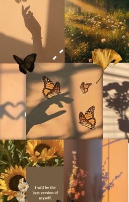 anh duy; sunflowers and the only 