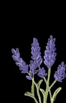 Anh lớn và em nhỏ 