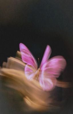 Ánh sáng nơi phố nhỏ