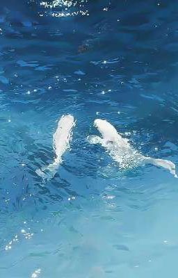 Ánh sanh trong vùng tối 