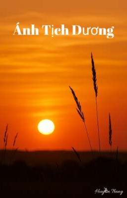 Ánh Tịch Dương 