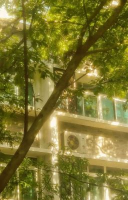 Annyeongz| Yêu Thầm