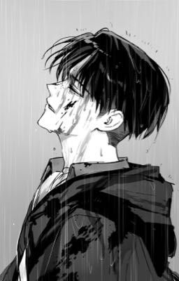 Another.. (Levi x Reader)