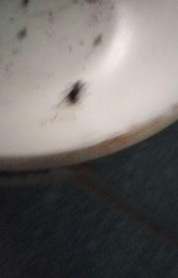 Ant Slayer 
