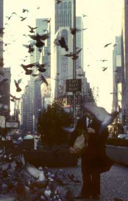 [AOG] Aside Group Chat 