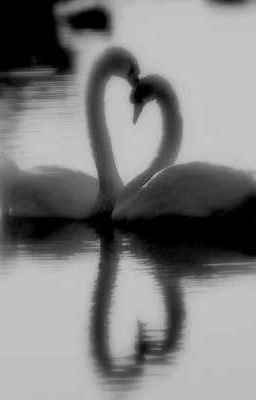 [Aov]Nắng của em...đi thật rồi à!?