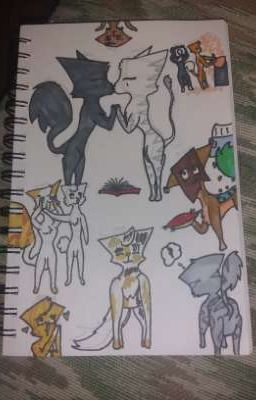 Art Book And Randomness