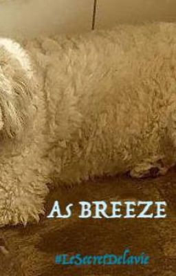 As Breeze
