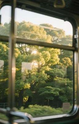| ATSH | Nắng Ấm