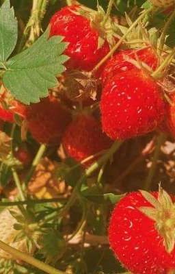 [atsh2/bmas] Ai cũng vậy mà