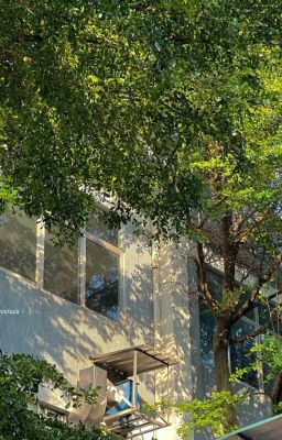 ATSH2  | hơn là bạn