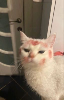 atsh2 ; quái đản.