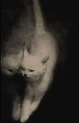 atsh2  〉  question mark.