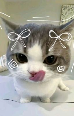 [ATSH2] Tình yêu có lông