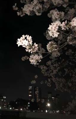 [AtsuHina] /Without you