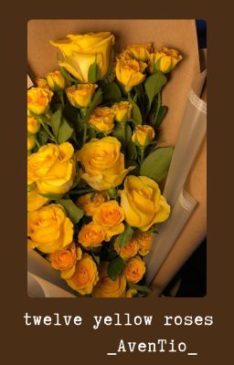 [AvenTio] twelve yellow roses