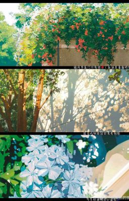 bạc hà ngọt - textfic.