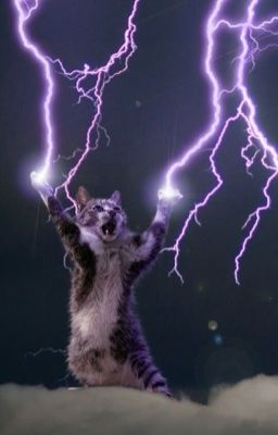 bách lan | bùng nổ sấm sét