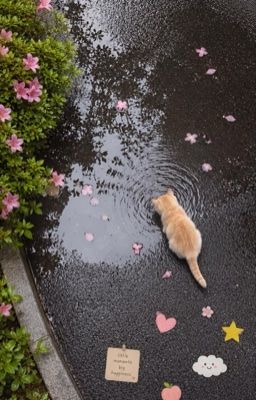 BẠN ĐỜI|TEXTFIC-YUGEON