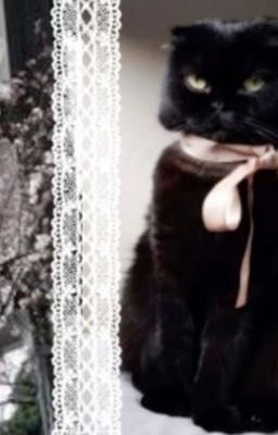 bản tình ca còn dang dở; 