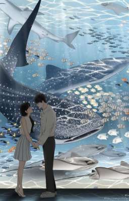 Bản Tình Ca Lệch Nhịp