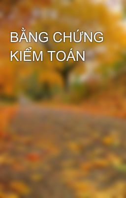 BẰNG CHỨNG KIỂM TOÁN