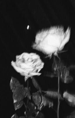 banginho | hẹn anh khi hoa chưa tàn