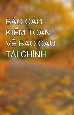 BÁO CÁO KIỂM TOÁN VỀ BÁO CÁO TÀI CHÍNH