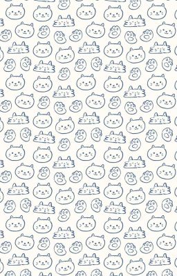 báo cáo: mèo con lại chiếm giường • choker