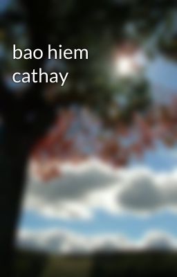 bao hiem cathay