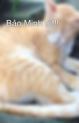 Bảo Minh ơi!!!