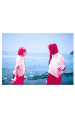 bbangsaz - bụi hoa giấy