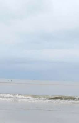 Beach And Pomegranate