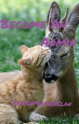 Become An Admin