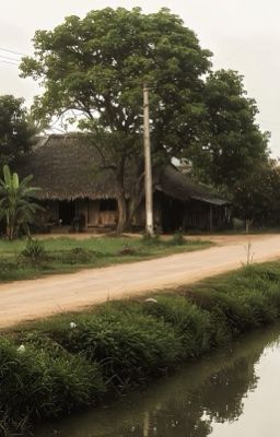 Bèo dạt mây trôi - Marhoon