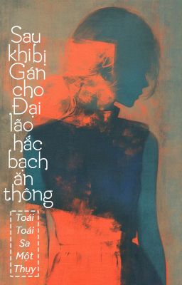 [BHTT - ABO] Sau khi bị gán cho Đại lão hắc bạch ăn thông - Toái Toái Sa