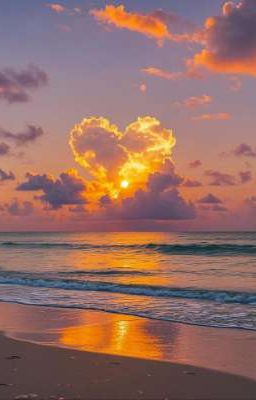 [BHTT] Trái tim đón nắng