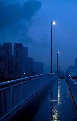 biến số | trans